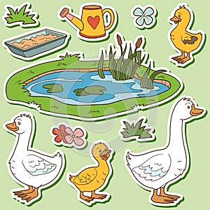 Color set of cute farm animals and objects, vector family goose