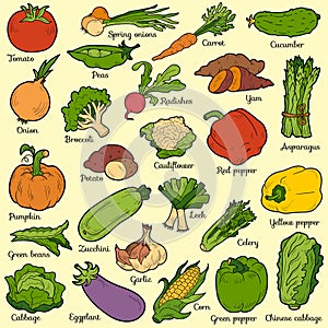 Color set with vegetables, vector cartoon stickers