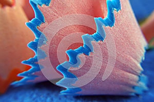 Color and shape. shavings of colored pencils. abstract blue and pink background. copy space