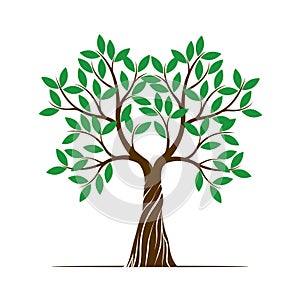 Color shape of Tree with green Leaf. Vector Illustration.