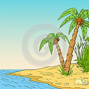 Color sketch of tropical palm on coast of ocean