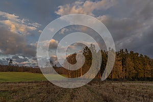 Color sunrise on green field near Vyhen village in south Bohemia with forest