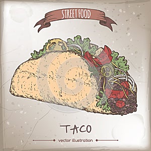Color taco sketch on grunge background.