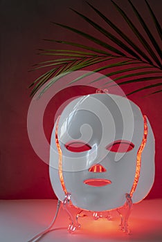 Color therapy mask glowing red, palm leaf