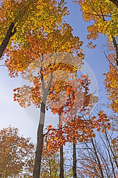 Color Transitions Against a Blue Sky