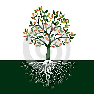 Color Tree of Life with Roots. Vector Illustration