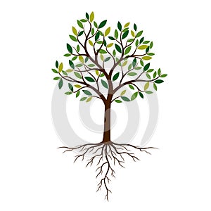 Color Tree and Roots. Vector Illustration.