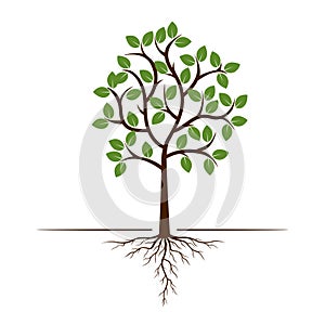 Color Tree and Roots. Vector Illustration.