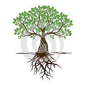 Color Tree and Roots. Vector Illustration.