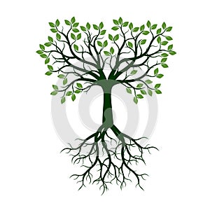 Color Tree with Roots. Vector Illustration.