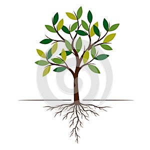 Color Tree and Roots. Vector Illustration.