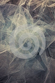 Color tulle background pattern studio shot