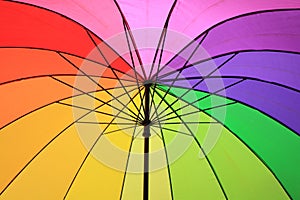 Color umbrella