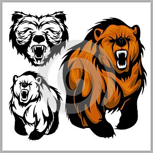 Color vector illustration of bear Grizzly