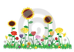 Color vector illustration of beautiful blooming flowers in the garden isolated on white background.