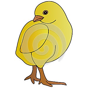 Color vector illustration of a cute chicken posing. Yellow ball. Chick on an isolated background. Cartoon style.