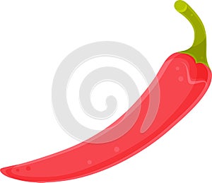 vector illustration of pepper, hot chili pepper, herbs and vegetables, spices and herbs, vitamin a