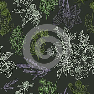 Color vector seamless pattern in green and purple colors, dark background photo