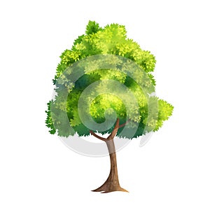 Color Vector Tree photo