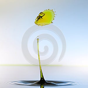 Color waterdrops collide each other