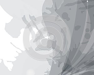 Color white abstract background photo