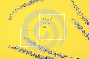 The color of the year 2021 is illuminating yellow and the ultimate gray.