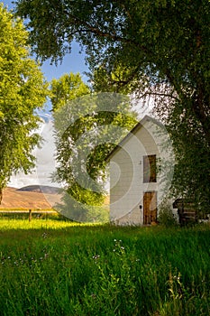 Colorado Abandoned Farm House