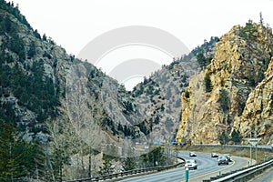 Colorado aspen landscape