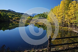 Colorado Aspen Trees with lake and mountains