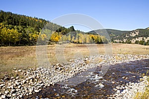 Colorado Aspens and Stream