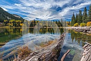 Colorado Autumn