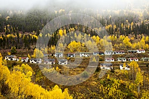 Colorado Autumn at the abandoned Gilman townsite photo