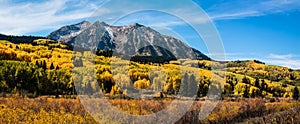 Colorado Autumn Color on Kebler Pass