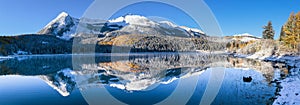 Colorado Autumn Color at Lost Lake on Kebler Pass