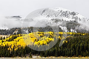 Colorado Autumn Scenery