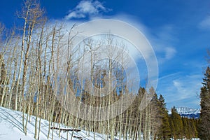 Colorado Blue Skies and Clouds, Breckenridge