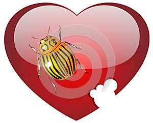 Colorado a bug on glass red heart photo