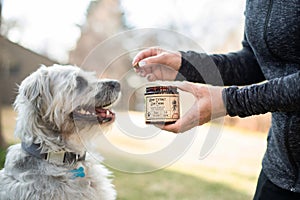 Colorado Dog Enjoying CBD Treats From Owner