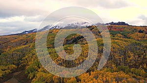 Colorado Drone Aerial Autumn Fall Foliage Yellow Orange Green Aspen Trees. Kebler Pass Mountains Snow Low Clouds Day