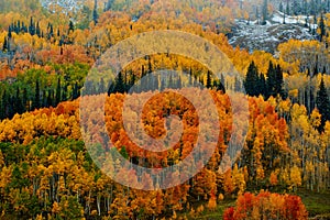 Colorado In Fall