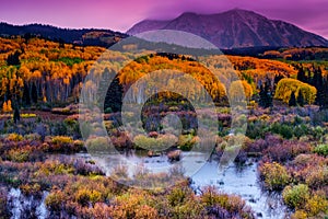 A Colorado Fall Along Kebler Pass