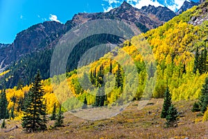 Colorado Fall Foliage Conundrum Hot Springs Trail photo