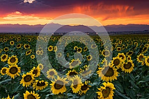 The Colorado Front Range Rockies At Sunset