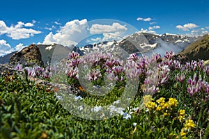 Colorado Landscape