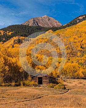 Colorado Log Cabin With Yellow Autumn Trees 7