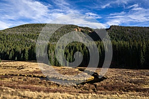 Colorado Meadow