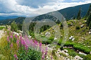 Colorado Mountain Landscape