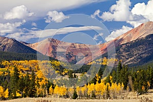 Colorado Mountain Landscape with Fall Aspens