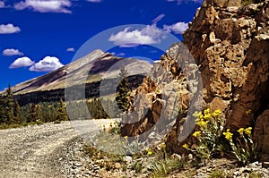 Colorado Mountain Pass Road and Wildflowers