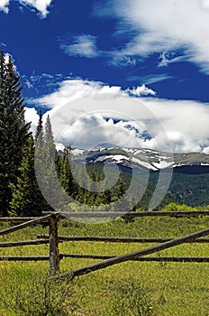 Colorado mountain pasture